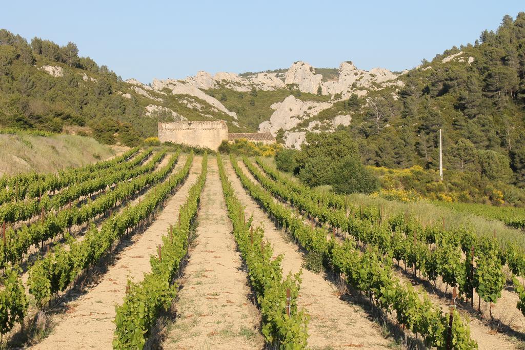 La Montagute Villa Thezan-des-Corbieres Dış mekan fotoğraf