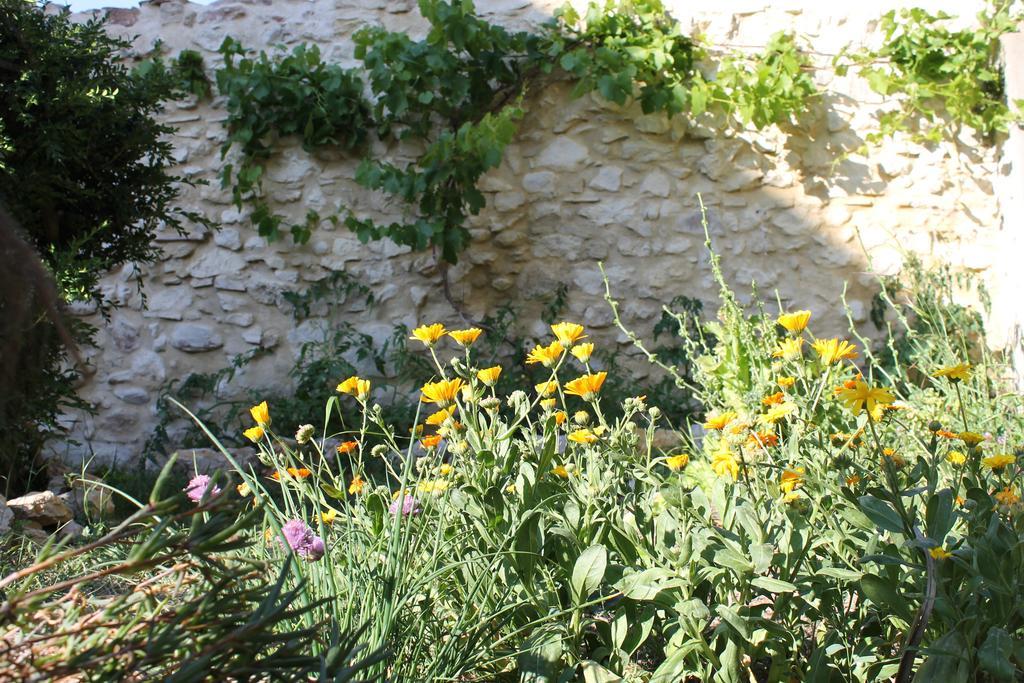 La Montagute Villa Thezan-des-Corbieres Dış mekan fotoğraf
