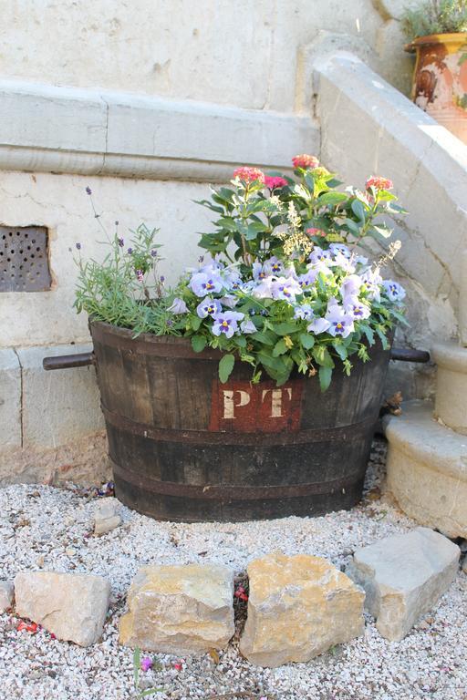 La Montagute Villa Thezan-des-Corbieres Dış mekan fotoğraf